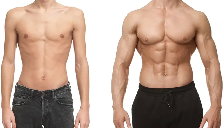 Vücut Geliştirme Gerçekleri