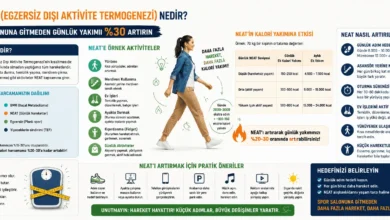 Egzersiz Dışı Aktivite Termogenezi