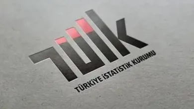TÜİK verilerine göre Türkiye'nin milli geliri 2025 yılında 62 trilyon lirayı aşarken, katma değer dağılımı ve tasarruf oranları açıklandı.